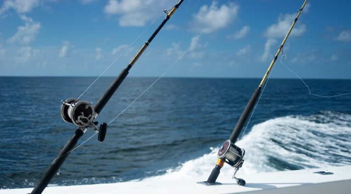 Canna e mulinello per la pesca d'altura che utilizzano i calamari come esca viva nel Golfo del Messico al largo della costa di Orange Beach, Alabama, durante la stagione dei dentici.