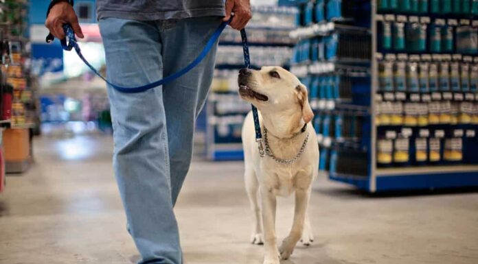 Uomo e cane al guinzaglio che camminano nel negozio di ferramenta.