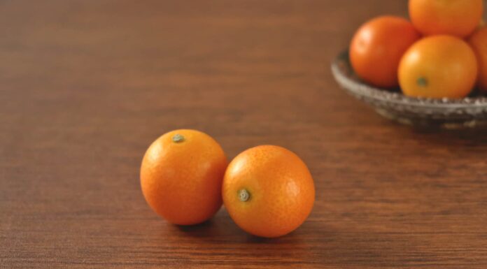 Ci sono kumquat sul tavolo e nel piatto.