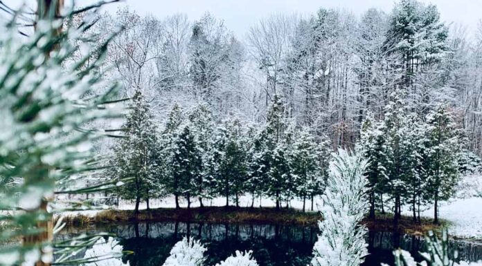 Boschi del Maine settentrionale