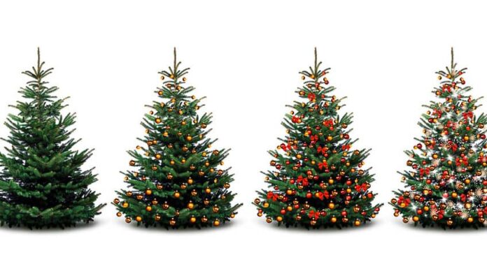 Quattro alberi di Natale: disadorni e decorati