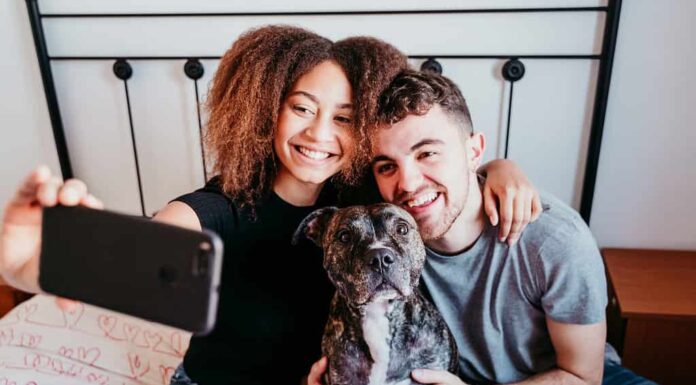 coppia felice innamorata a casa.  Donna afroamericana, uomo caucasico e il loro cane pitbull insieme.  Concetto di famiglia