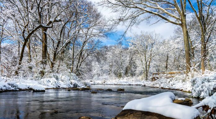 Roccia con neve a Richland Creek