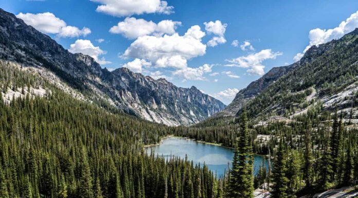 Gli 8 posti migliori per vedere la fauna selvatica nel Montana
