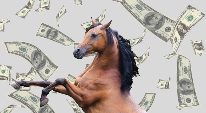 I 13 tori più costosi al mondo (e la tariffa di monta per ciascuno)
