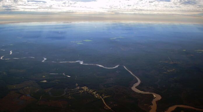 Antenna del fiume Conecuh Brewton Alabama 