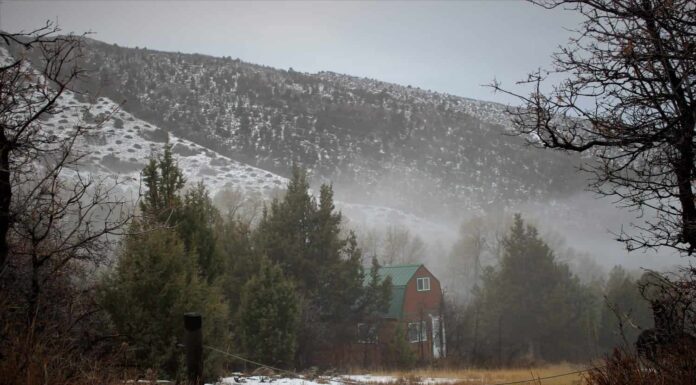 Baita nel bosco in una fredda giornata invernale.  Ripreso l'Ephraim Canyon nello Utah centrale. 