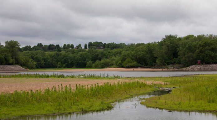Litorale erboso lungo il lago Red Rock sul fiume Des Moines in Iowa.  Erba verde e acqua.  
