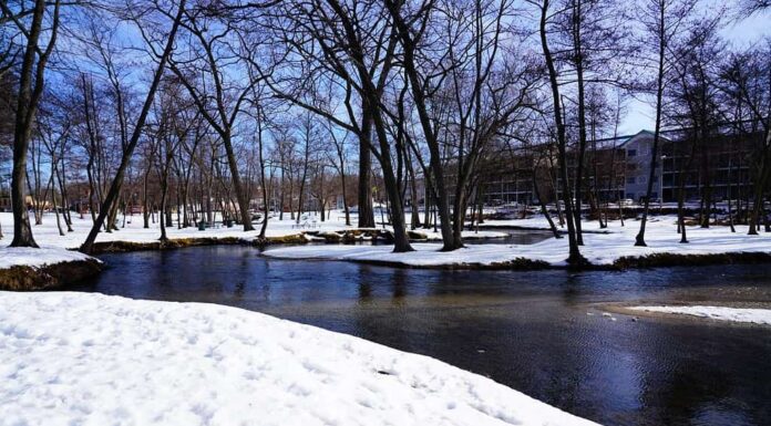 Vista panoramica della stagione invernale di un parco nel Lago di Ginevra, Wisconsin