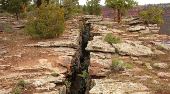 Primo piano di una linea di faglia o frattura nella terra - area di Flaming Gorge - Utah