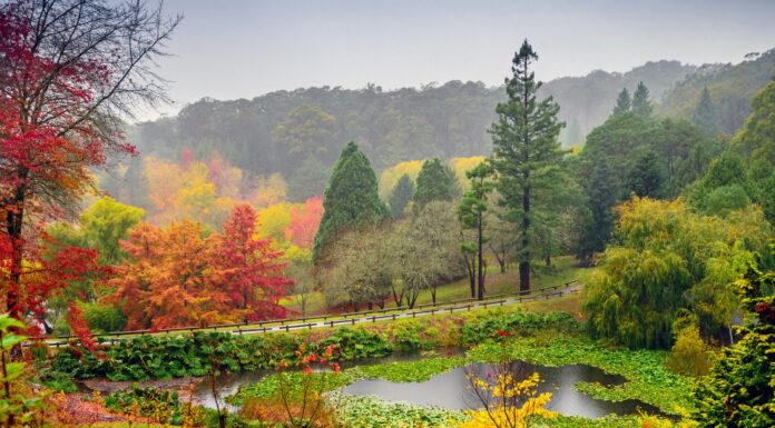 Paesaggio autunnale sotto la pioggia sulle colline di Adelaide