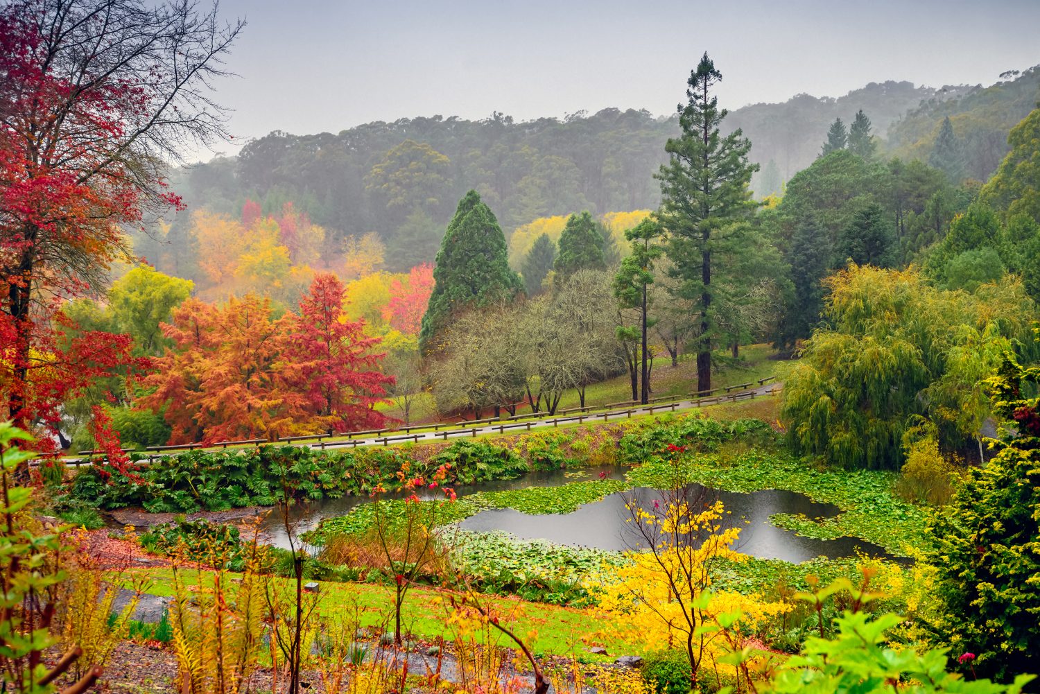 Paesaggio autunnale sotto la pioggia sulle colline di Adelaide