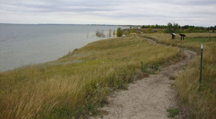 Litorale del lago Sakakawea al Fort Stevenson State Park, North Dakota