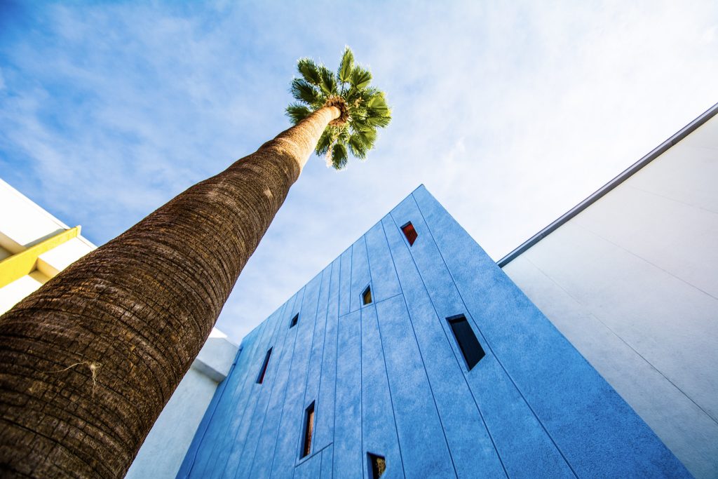 Palm Springs, Florida vs. Palm Springs, California: quali sono le differenze?