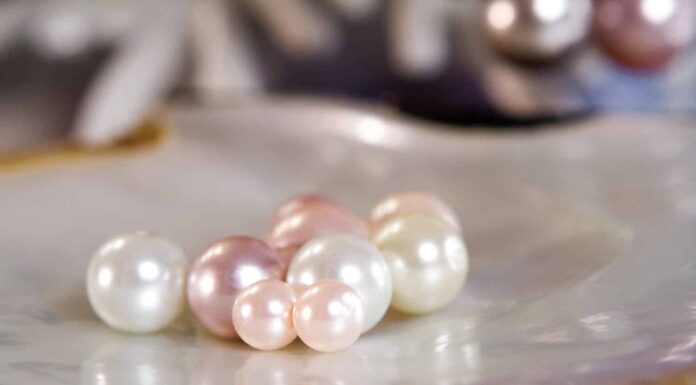 un gruppo di perle sulla conchiglia ha colori e dimensioni diversi mostrati in gioielleria