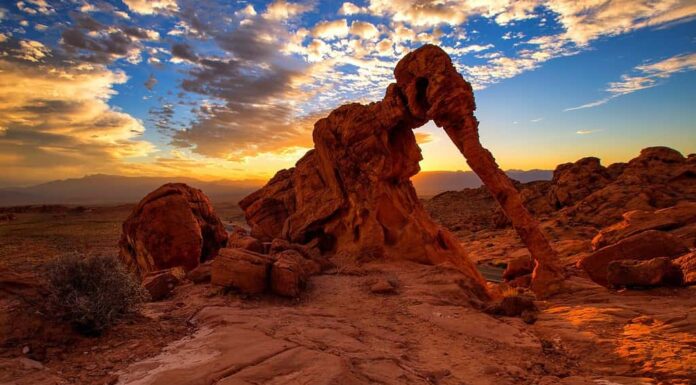Roccia dell'Elefante nella Valle del Fuoco State Park, Stati Uniti.  Il Valley of Fire State Park è il parco statale più antico del Nevada, negli Stati Uniti, ed è stato designato monumento naturale nazionale nel 1968.
