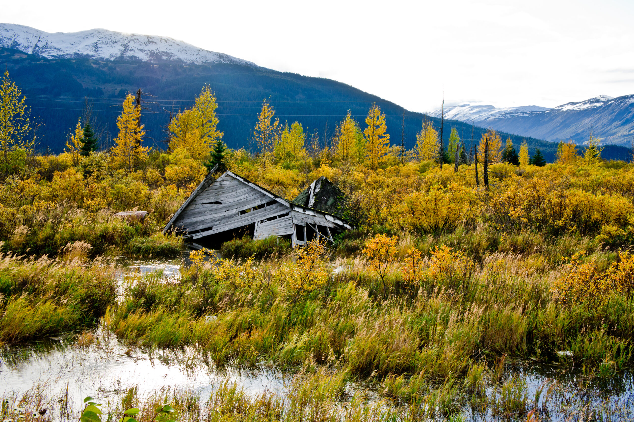 Danni del terremoto in Alaska