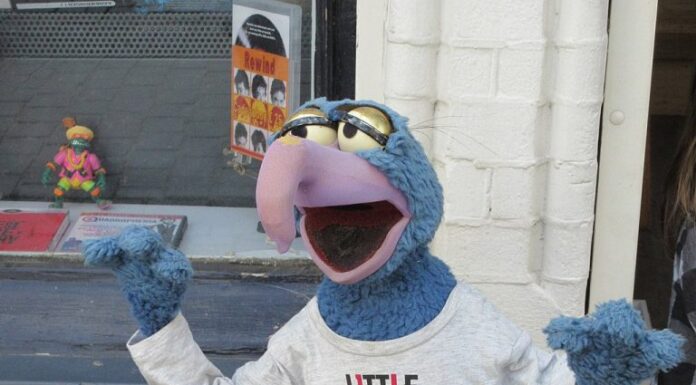 Scopri che tipo di animale è veramente Gonzo
