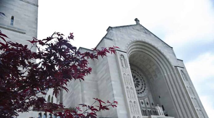 Basilica del Santuario Nazionale dell'Immacolata Concezione