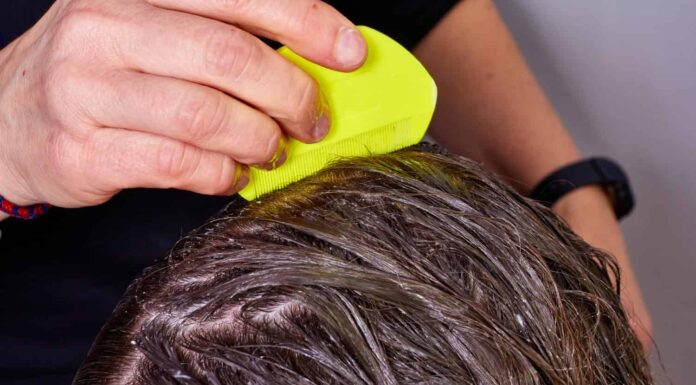 persona che controlla i pidocchi sui capelli bagnati, con un pettine giallo per pidocchi