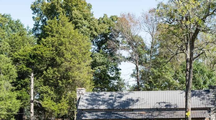 Grotta e cabina della Bell Witch