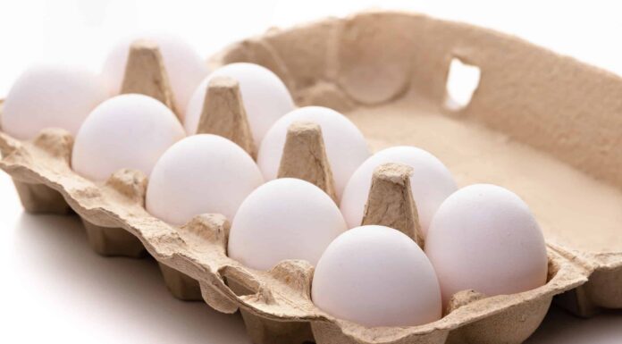 una dozzina di uova di gallina bianche, due file da sei, in cartone giallo.  fotogramma intero