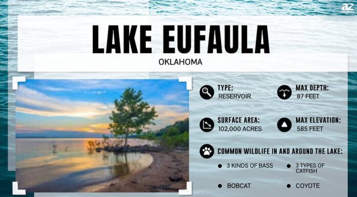 Infografica sul Lago Eufaula