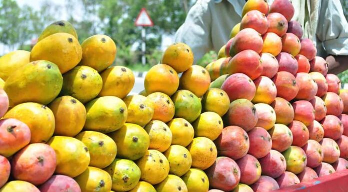 Venditore ambulante che vende manghi raspuri