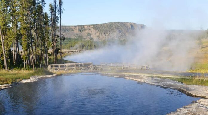 Parco Nazionale di Yellowstone - Sorgenti termali