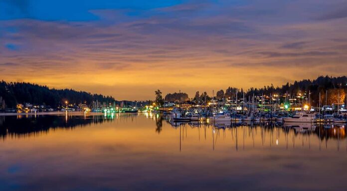 11 tesori nascosti per andare in pensione a Washington
