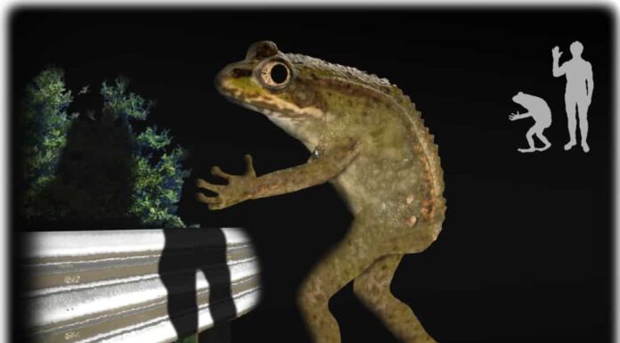 L'uomo rana di Loveland