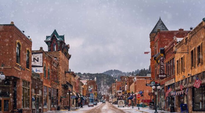 vista sulla strada del legno morto durante la neve