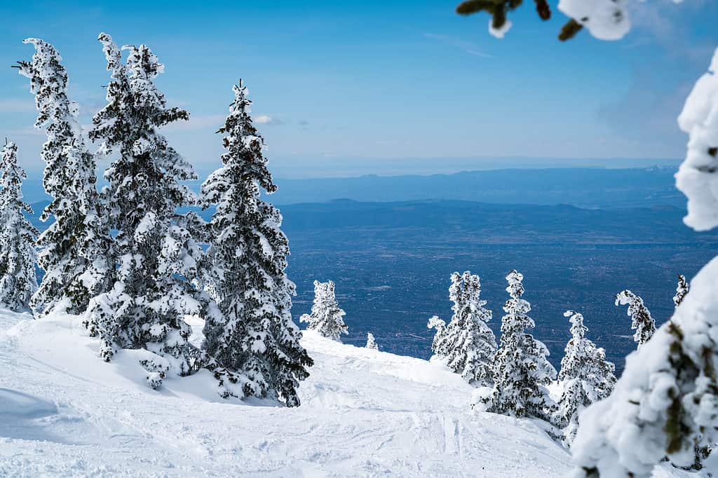 Montagna di sci sulla neve nel Nuovo Messico