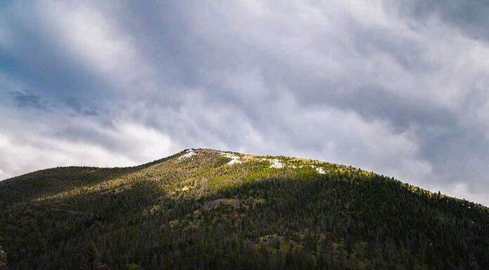 Passo Rogers, Montana