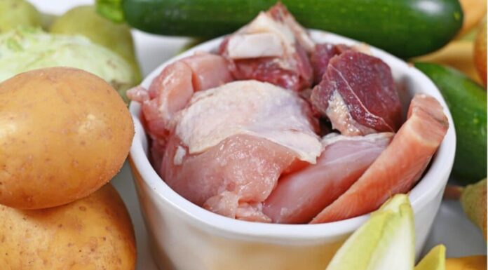 i cani possono mangiare il tacchino