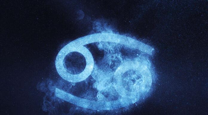 fiori e piante che rappresentano il cancro