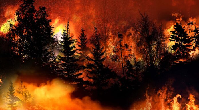 Enorme incendio selvaggio della California