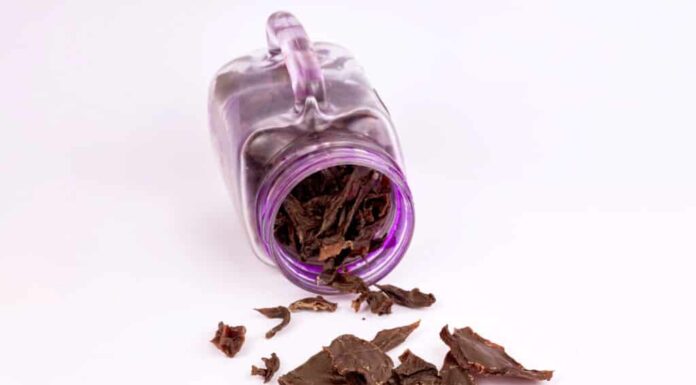 Patatine di fegato di manzo disidratato fatte in casa per cani