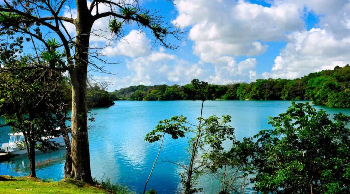 Lago Gatun, Panama