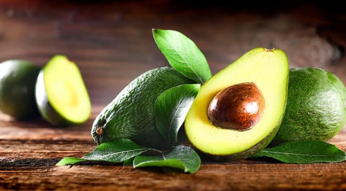 Avocado su tavola di legno rustica.  Alimento verde sano di frutta cruda.  Avocado ampio banner o concetto panoramico