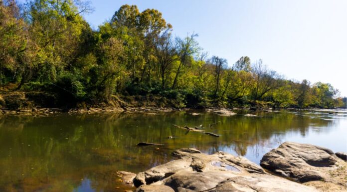 Il fiume più lungo della Carolina del Nord: il fiume Neuse