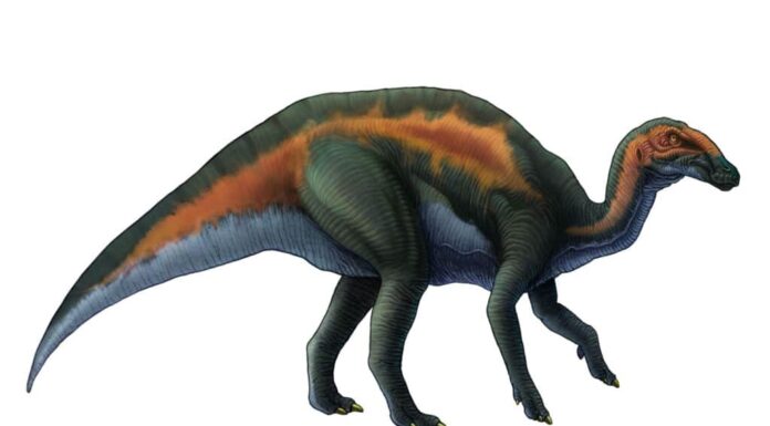 adrosauro