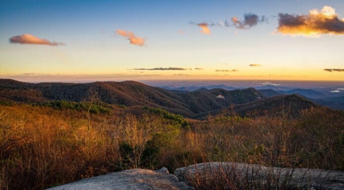 Montagna di Sassofrasso
