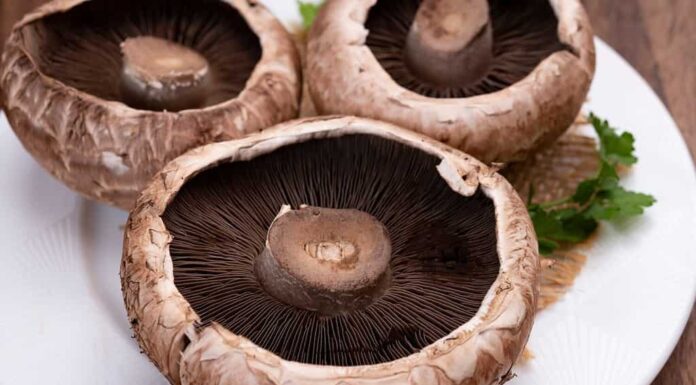 Gustoso cibo vegetariano