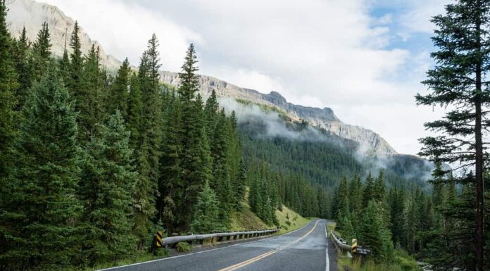 Autostrada Beartooth attraverso il Wyoming, Montana.  Il viaggio più panoramico degli Stati Uniti verso il Parco Nazionale di Yellowstone, circondato da una vegetazione lussureggiante e dalle cime delle montagne