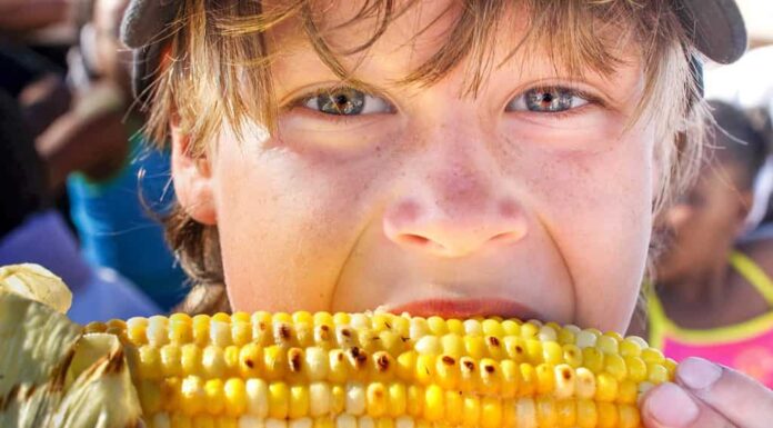 Ragazzo felice che mangia pannocchia