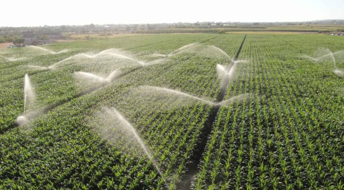 Foto aerea dal drone per l'irrigazione a pioggia
