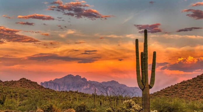 Tramonto nel deserto di Sonora vicino a Phoenix, Arizona