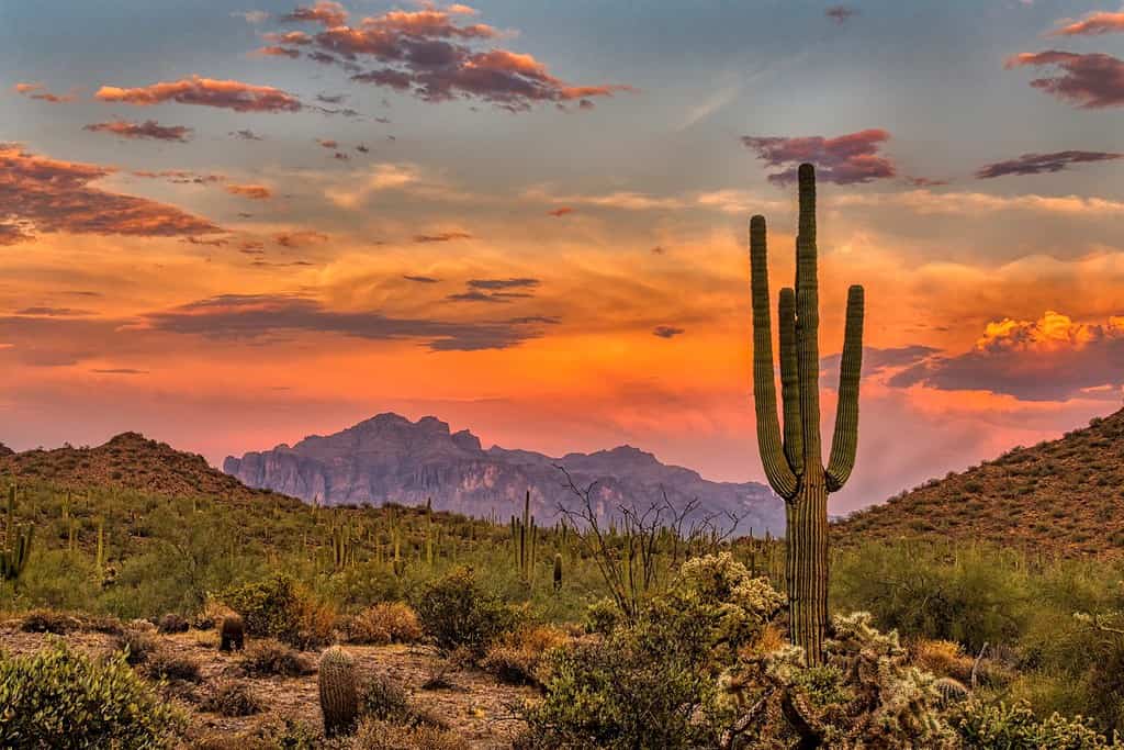 Tramonto nel deserto di Sonora vicino a Phoenix, Arizona