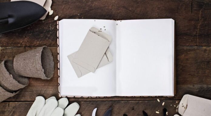 Come avviare la semina in casa: la guida definitiva
